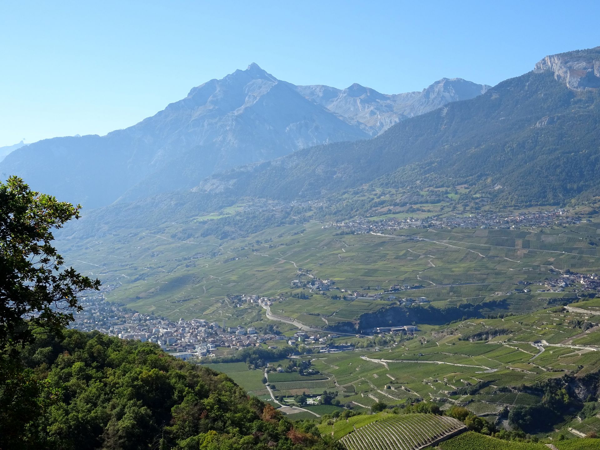 Sion